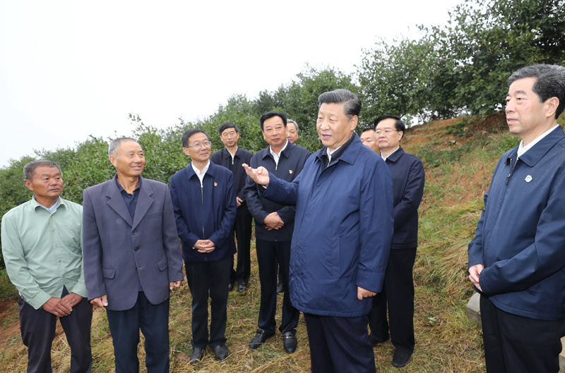 　　9月16日至18日，中共中央總書記、國家主席、中央軍委主席習(xí)近平在河南考察。這是17日上午，習(xí)近平來到信陽市光山縣槐店鄉(xiāng)司馬光油茶園，同正在勞作的村民和管理人員交流。 新華社記者 鞠鵬 攝